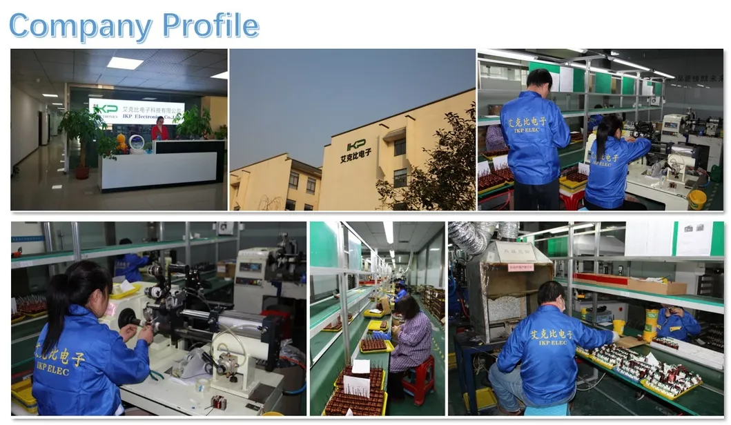 Одиночная катушка Ikp-Elec серии R Hefei, Китай Дифференциальный режим душевного катушки